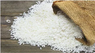 कम बारिश और अल नीनो का असर: देश में घट सकता है चावल का उत्पादन