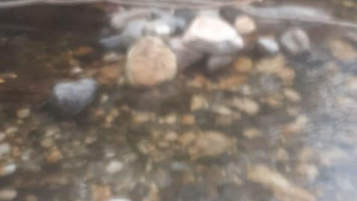 कुकरेड़ा सिंचाई योजना को लेकर विवाद गहराया, सीएम हेल्पलाइन पर शिकायत के बाद भी असंतुष्ट हैं शिकायतकर्ता