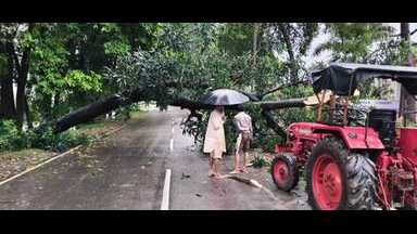 लखीमपुर में भारी बारिश से जनजीवन अस्त-व्यस्त, हाईवे पर गिरे पेड़ और खंभे