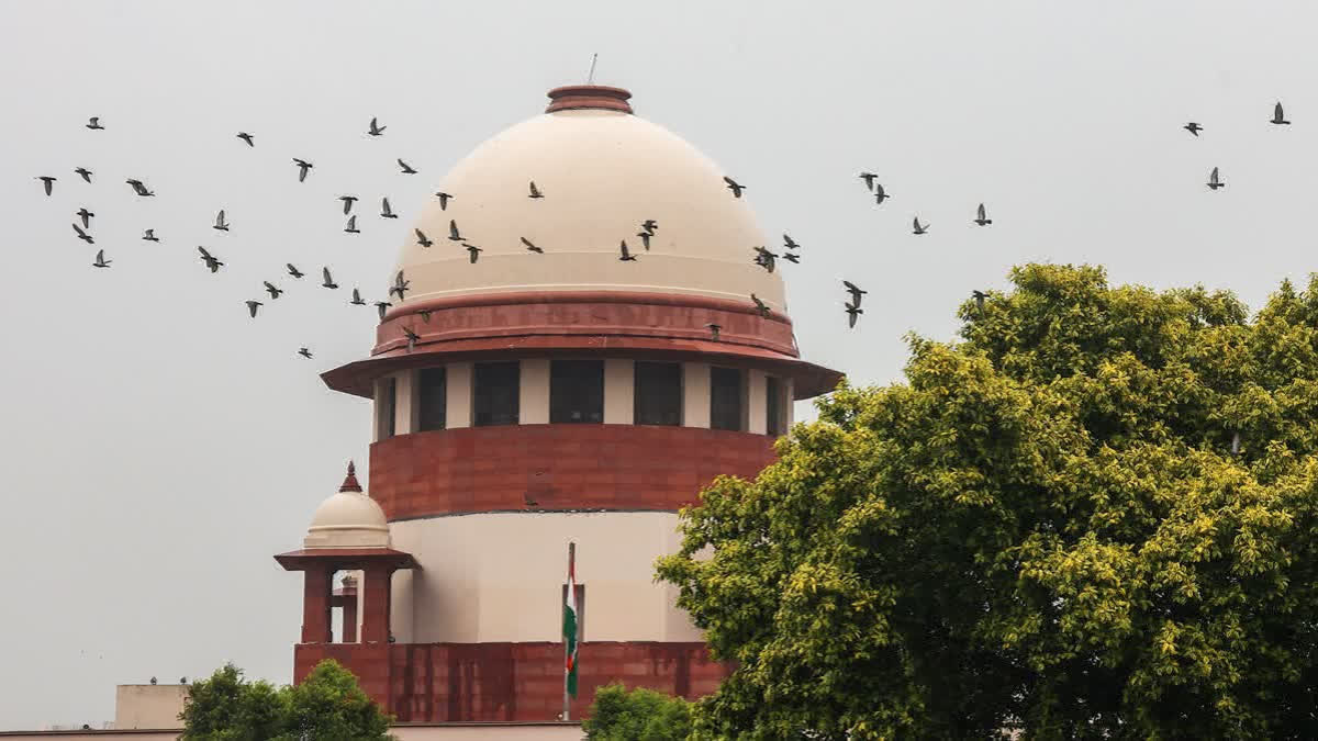 ओबीसी क्रीमीलेयर मामले में सुप्रीम कोर्ट के निर्देशों का इंतजार कर रहा केंद्र, सेवा आवंटन पर फंसा पेंच