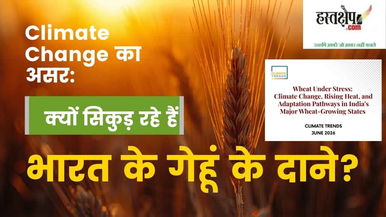 कमजोर मॉनसून और अल नीनो का साया: रबी की फसलों पर मंडरा रहा बड़ा संकट