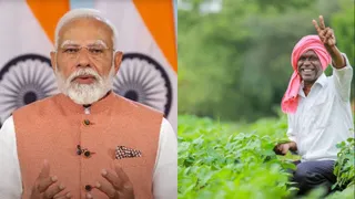 दलहन-तिलहन किसानों के लिए केंद्र सरकार का बड़ा कदम, एमएसपी से भाव गिरने पर सीधे मंडियों में होगी खरीद