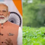 दलहन-तिलहन किसानों के लिए केंद्र सरकार का बड़ा कदम, एमएसपी से भाव गिरने पर सीधे मंडियों में होगी खरीद