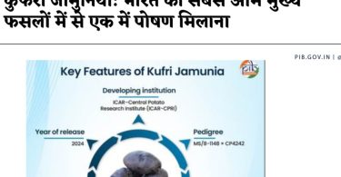 प्रधानमंत्री नरेंद्र मोदी ने विजयदशमी पर देश के स्वाभिमान और संस्कृति के संरक्षण पर दिया जोर