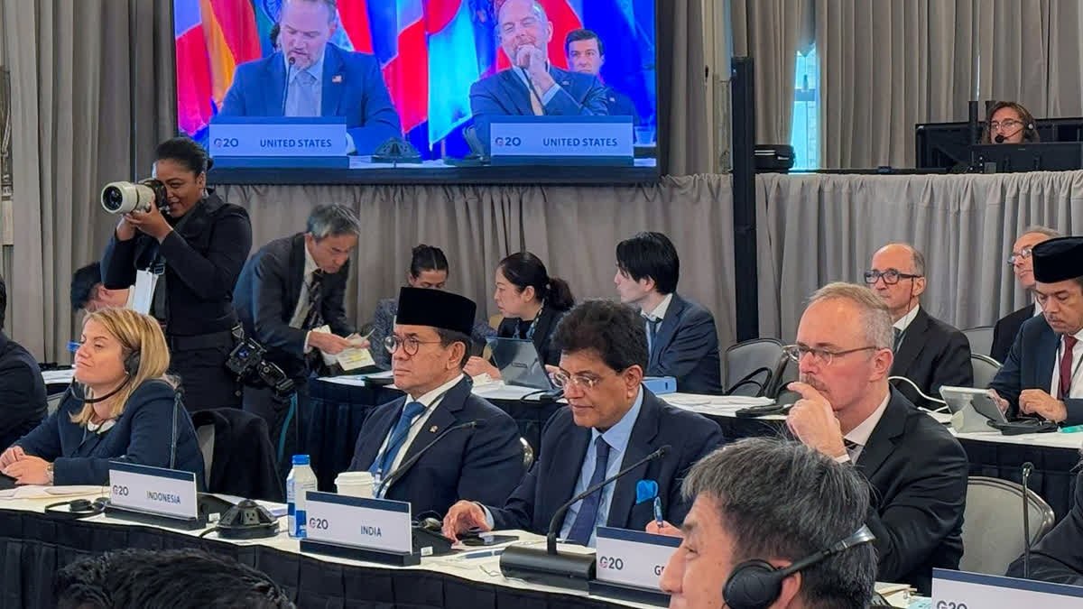 G20 बैठक में पीयूष गोयल का बयान, खाद्य सुरक्षा और आपूर्ति श्रृंखला पर कही बड़ी बात